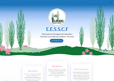 Création site sur-mesure par Arthis Web pour une école EESSCF Marloie Forrières