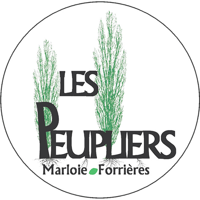 Logo de l'école EESSCF située à Marloie Forrières