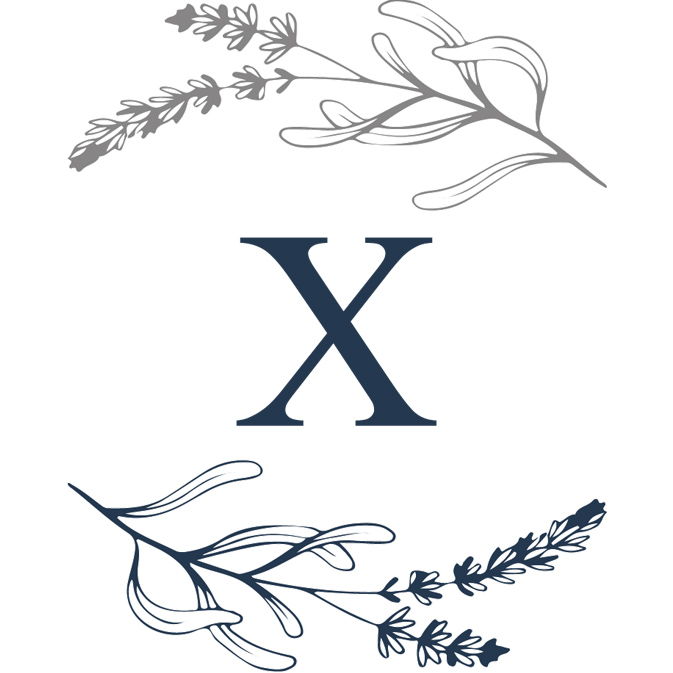 Logo Xylophilia, menuisier en région de Liège